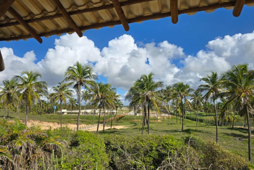 WhatsApp Image 2025-05-13 at 06.59.01 (1) WhatsApp Image 2025-05-13 at 06.59.01 (1)