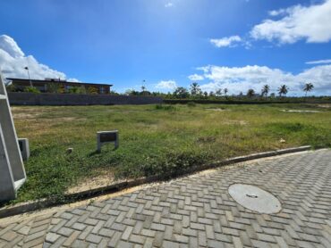 WhatsApp Image 2025-05-13 at 06.58.59