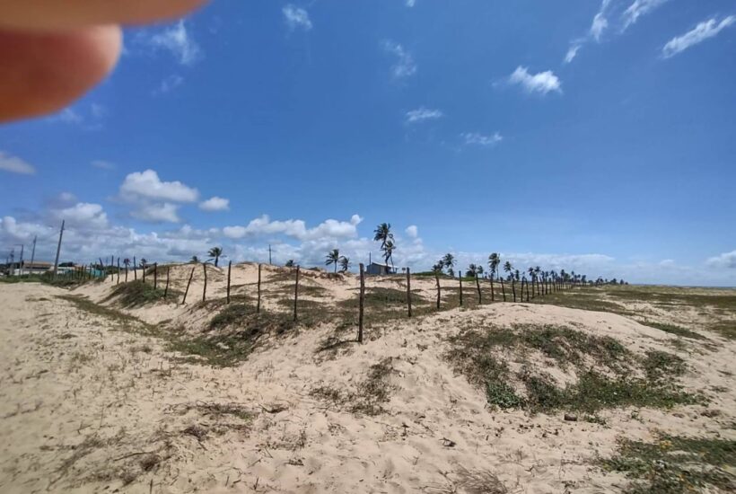 534384537_1448867046446456_7380855311042035938_n 534384537_1448867046446456_7380855311042035938_n