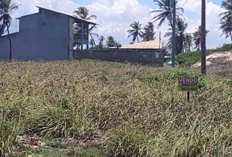 533693722_1448866803113147_5132893653600666389_n (1) 533693722_1448866803113147_5132893653600666389_n (1)