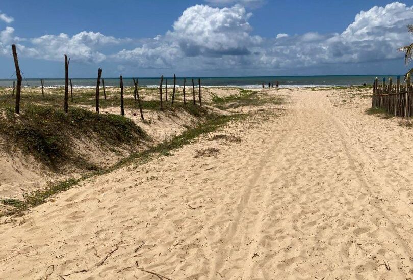 533963593_1448866709779823_1324754829453385311_n (1) 533963593_1448866709779823_1324754829453385311_n (1)