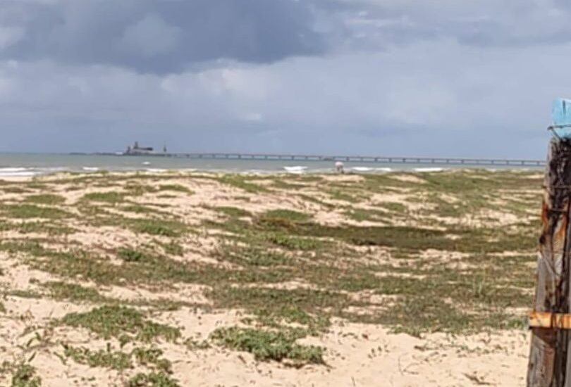 533136624_1448866956446465_2894548476568417333_n 533136624_1448866956446465_2894548476568417333_n