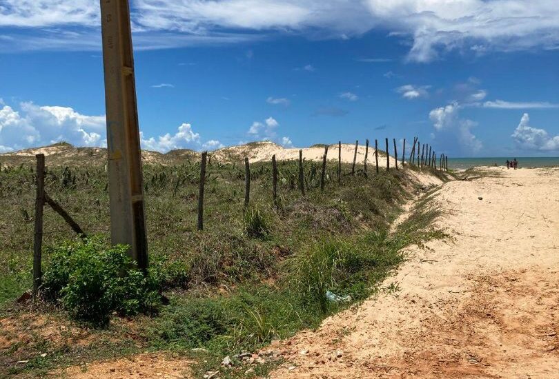 533060621_1448866756446485_6122339685517475316_n (1) 533060621_1448866756446485_6122339685517475316_n (1)