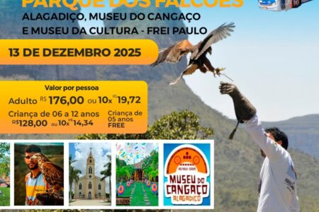 WhatsApp Image 2025-11-17 at 16.41.35