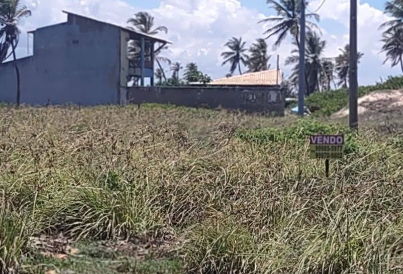 639868372_1606352034031289_768437845037290093_n 639868372_1606352034031289_768437845037290093_n