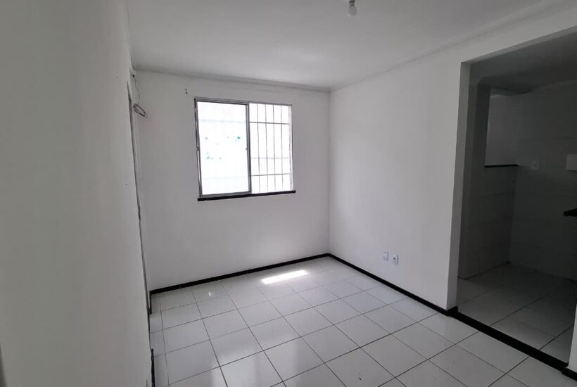 WhatsApp Image 2026-02-19 at 16.19.54