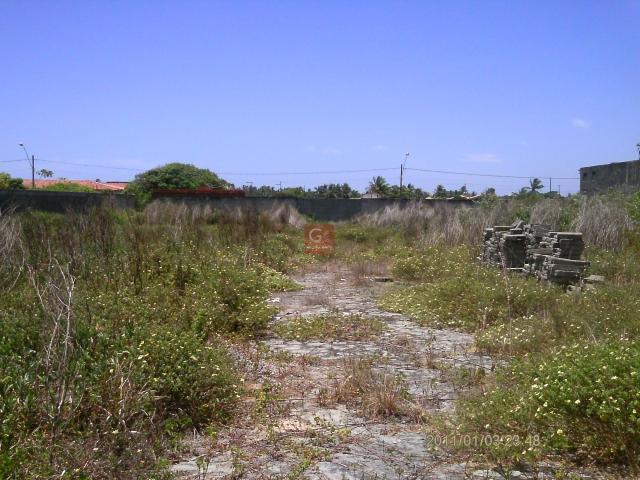 a6ac99f46519