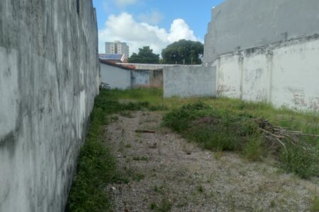 WhatsApp Image 2026-05-13 at 08.50.09