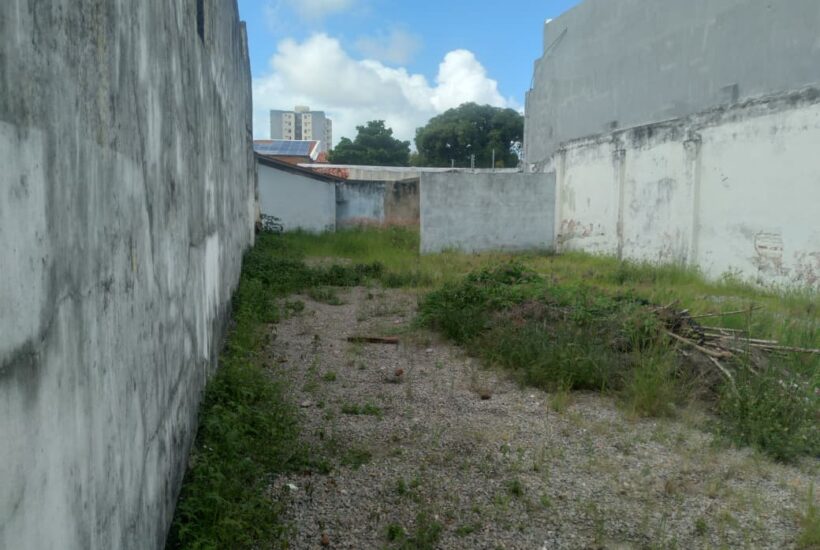 WhatsApp Image 2026-05-13 at 08.50.09 WhatsApp Image 2026-05-13 at 08.50.09